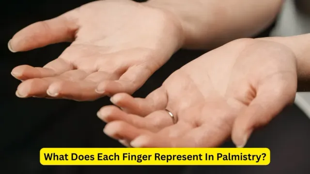 what-does-each-finger-represent-in-palmistry-know-the-meaning-of-all-five-fingers