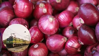 Onion Prices Up 59%: Govt Ramps Up 'Kanda Express' Supplies To Cool Market; Key Details
