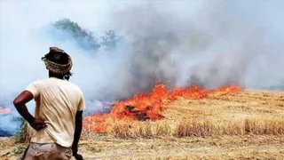MP Overtakes Punjab, Haryana In Stubble Burning, Deals Blow To Delhi's Efforts To Curb Winter Pollution