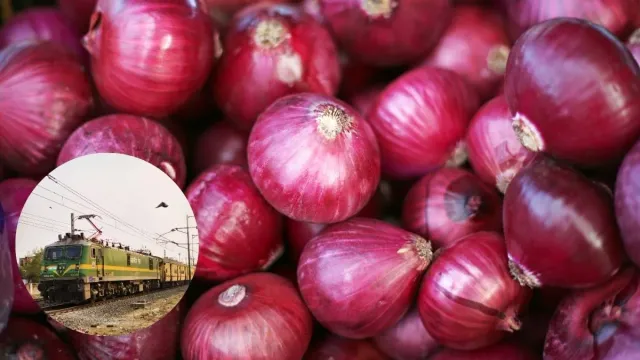 government-to-sell-onions-in-delhi-at-36-pc-discount-kanda-express-arrives-wednesday