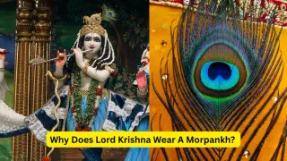 janmashtami-2026-why-does-lord-krishna-wear-a-morpankh-know-the-mythological-significance