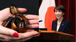 'Felt Lonely After Staff Removed Cockroach From My Residence': Japan PM's Shocking Ghost And Rebirth Theory Confession