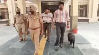Patiala Court Evacuated After Receiving Bomb Threat Mail; Search Ops Launched