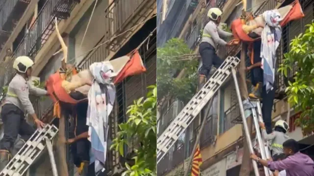 mumbai-newlywed-woman-jumps-from-10th-floor-of-highrise-lands-on-tree-branch-pierces-through-thigh-watch