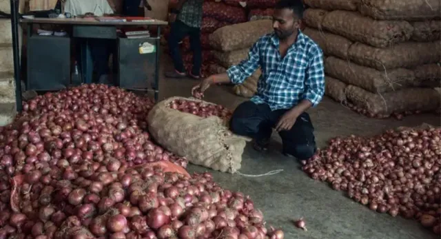 rotten-onions-in-govt-stock-centre-responds-to-30-spoilage-reports-cwc-to-take-over-storage
