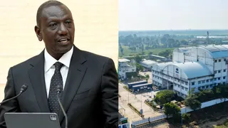 Why Kenya President Wants Tata Chemicals To Leave Country? The Magadi Mine Controversy Explained