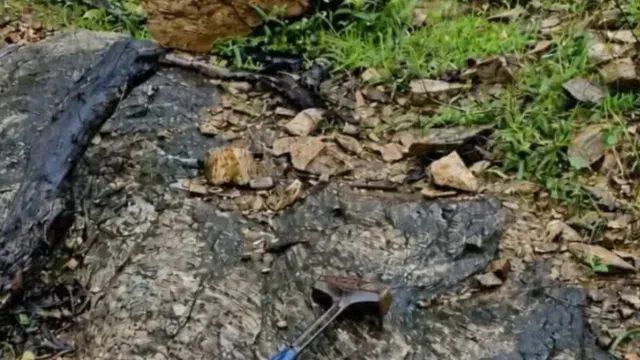 indias-oldest-365-billion-year-old-rock-fragment-discovered-in-chhattisgarh-bastar-scientists-reveal-unbelievable-details