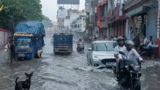 Bihar Weather: Heavy Rain Alert In Araria, Katihar, Kishanganj And West Champaran Today; Forecast