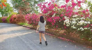 Morning Walk Benefits: 5 Reasons To Add A Walk To Your Morning Routine