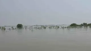 UP-Bihar Floods: NH-80 Submerged, 5 Dead In Bhagalpur As Rain Wreaks Havoc; Moradabad Cremation Ground Immersed