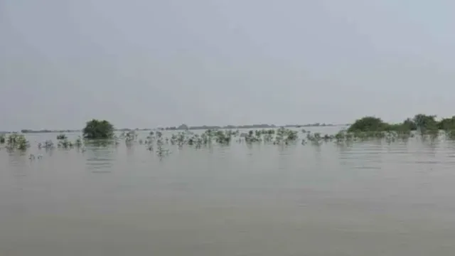 ganga-overflows-in-up-and-bihar-nh80-submerged-5-dead-in-bhagalpur-as-rain-wreaks-havoc