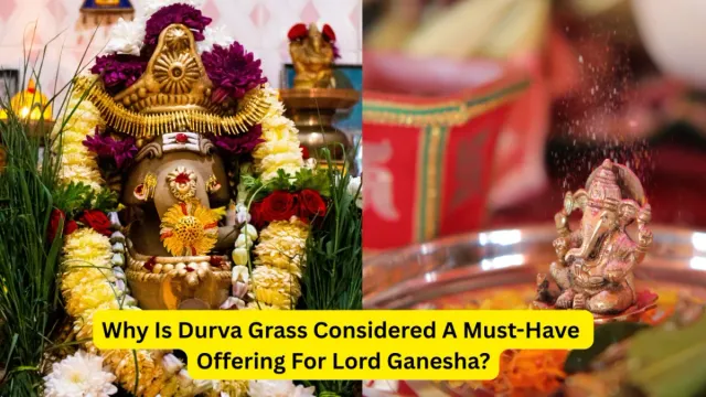 why-does-lord-ganesha-love-durva-grass-the-mythological-story-behind-this-sacred-offering