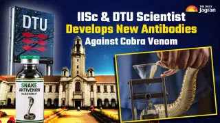 New Antivenom Breakthrough: IISc Bengaluru And Denmark Scientists Develop Nanobodies Against Cobra Venom; Details