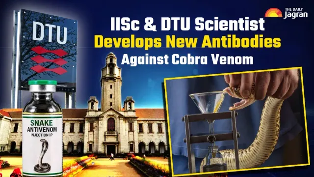new-antivenom-breakthrough-iisc-bengaluru-and-denmark-scientists-develop-nanobodies-against-cobra-venom-details