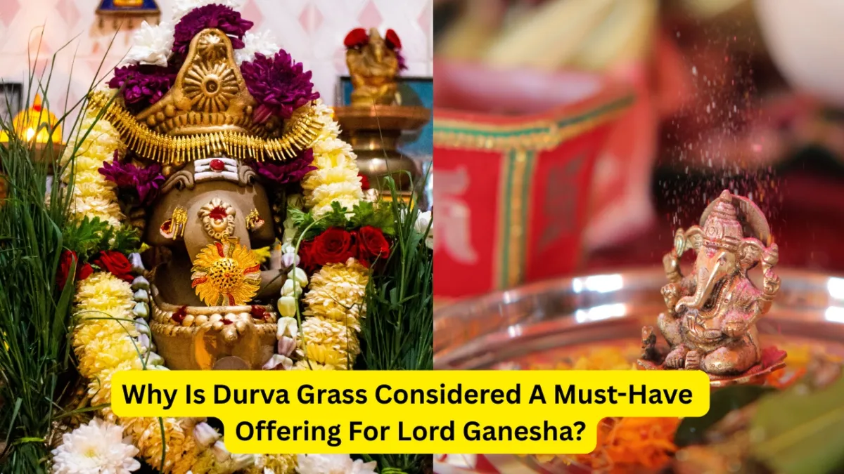 Why Does Lord Ganesha Love Durva Grass The Mythological Story Behind 