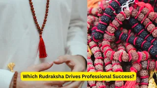 Rudraksha For Career Success: 5 Beads Traditionally Associated With Leadership, Focus And Growth