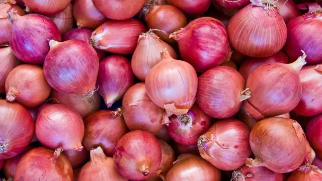 onion-inflation-wholesale-mandis-see-9pc-decline-expect-cheaper-retail-rates-soon