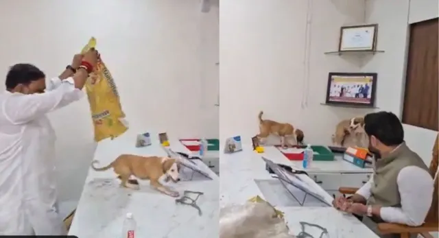 nashik-yuva-sena-workers-release-stray-pups-inside-civic-chiefs-office-over-dog-menace-video-goes-viral-watch