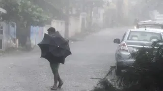 Cyclone To Hit Odisha Coast? IMD's Big Update On Low-Pressure Area Formation; Heavy Rain Expected In Samabalpur, Cuttack