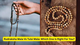 Tulsi Mala Vs Rudraksha Mala: Which One Is Right For You? Complete Comparison Guide