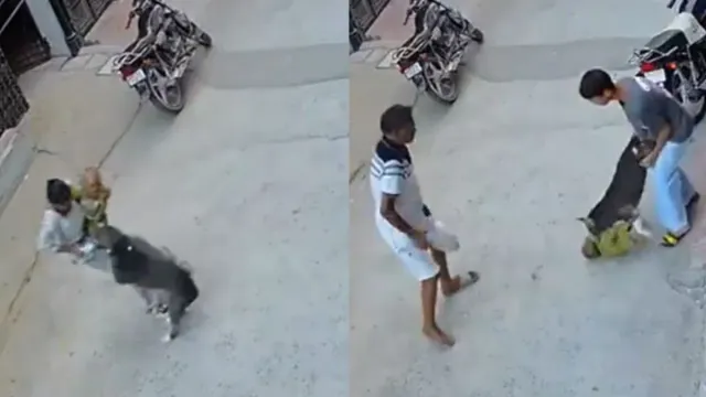 sonipat-pitbull-attack-6monthold-critical-after-being-mauled-by-dog-cctv-captures-horror