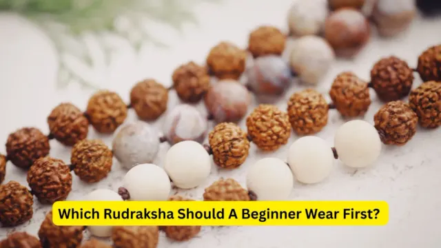 which-rudraksha-should-a-beginner-wear-first
