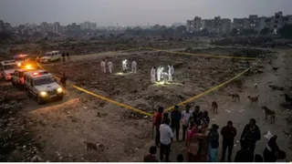 Stabbed Multiple Times, Eaten By Dogs: How Cops Found Decomposed Body Of Delhi Rape Victim | Updates