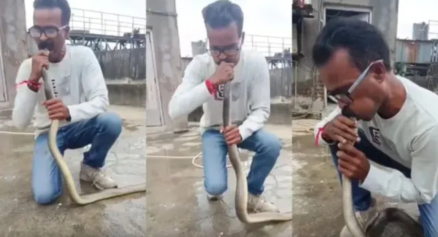 gujarat-man-performs-cpr-saves-snake-after-it-faints-in-chemical-contaminated-water-watch