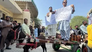 'Can't Afford Petrol': Pakistan PTI Leaders Ride Donkey Carts To Assembly As Fuel Prices Soar