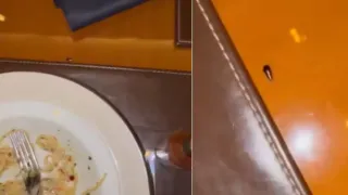 'Roachie' For Dinner: Cardiologist Goes Sarcastic As He Shares Video of Cockroach At Dinner Table At JW Marriott Mumbai