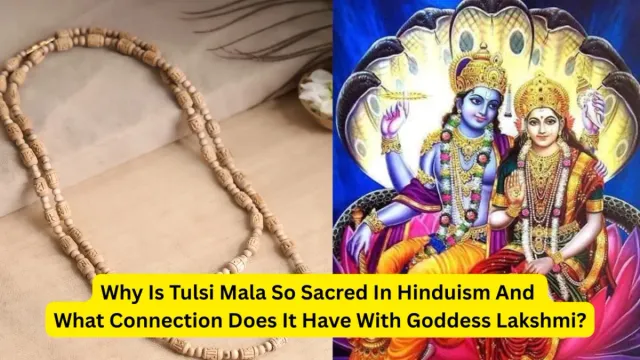 why-is-tulsi-mala-sacred-in-hinduism-meaning-benefits-and-rules