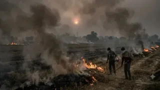 Super El Nino, Stubble-Burning: Why Delhi Might See Mild Winter, Worsened Air Quality This Season