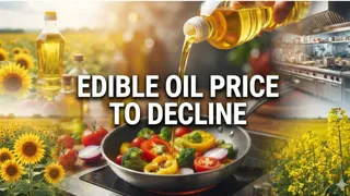 Lower Import Duties On Cooking Oils: What It Means For Your Grocery Bill