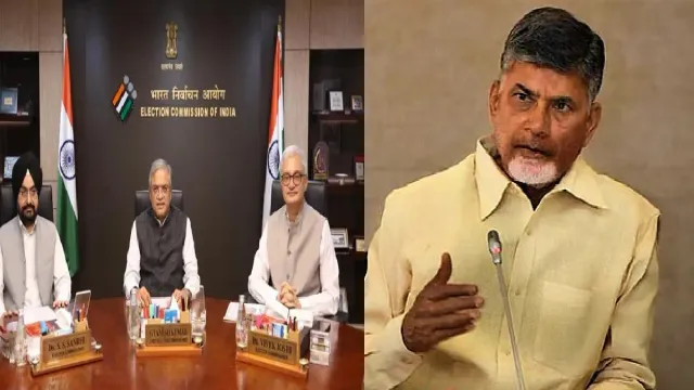 for-shortterm-political-gains-tdp-chief-chandrababu-naidu-slams-oppn-backs-ec-after-unanimous-clarification-amid-sir-row