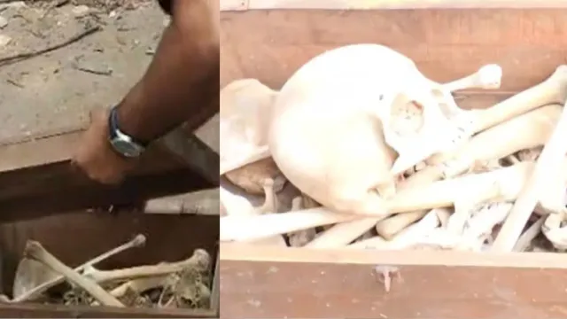 delhi-real-human-remains-or-school-lab-model-delhi-police-probe-suspected-skeleton-found-at-delhi-scrap-dealers-spot