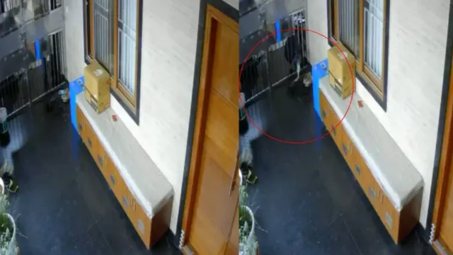 bengaluru-woman-shares-terrifying-ordeal-after-delayed-rapido-delivery-harassment-abuse