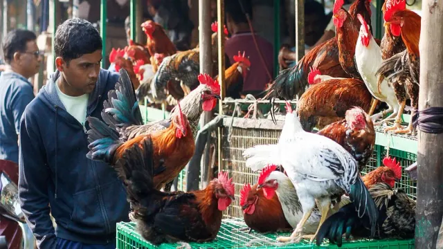peta-india-writes-to-centre-seeks-nationwide-ban-on-meat-advertisements-from-october-2