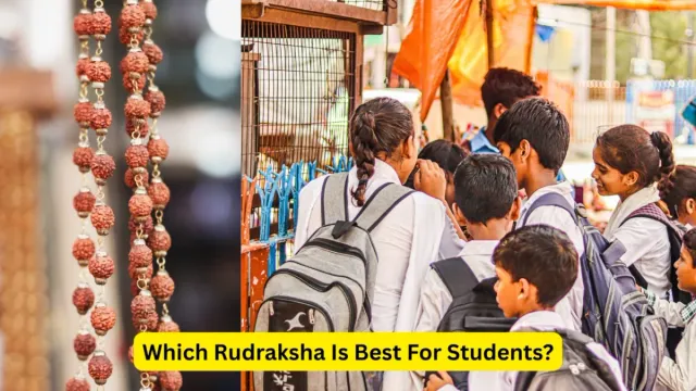 which-rudraksha-is-best-for-students-to-boost-knowledge-memory-and-concentration