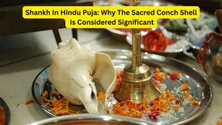 The Sacred Shankh: Know Its Spiritual Significance And Ritual Importance In Hindu Puja