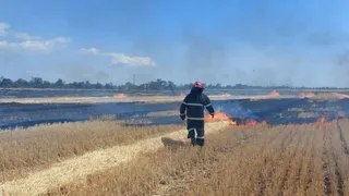 'Surviving On Wild Weeds In Hell': Ukraine's Russia-Occupied City Faces Severe Starvation Amid War-Led Food Shortage
