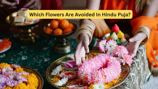 flowers-that-are-traditionally-not-offered-to-certain-hindu-deities