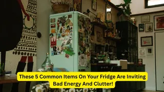 Never Keep These 5 Things On Top Of Your Fridge: Vastu Beliefs And Practical Reasons