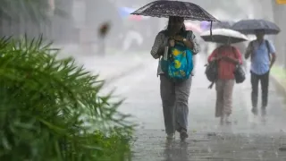 weather-update-imd-issues-rain-alert-for-mp-chhattisgarh-other-states-check-forecast-for-up-bihar