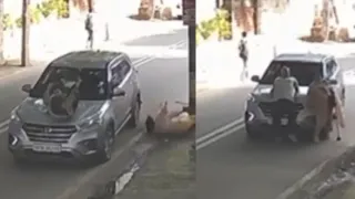 delhi-elderly-couple-flung-into-air-after-car-hits-them-from-behind-in-kirti-nagar-video