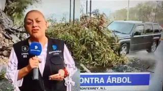 live-broadcast-turns-chaotic-after-video-shows-reporter-cameraperson-hit-by-vehicle-in-mexico-watch