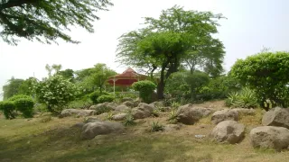 dda-mcd-step-up-safety-measures-after-aastha-kunj-gangrape-736-delhi-parks-found-highrisk-lighting-issues-with-520