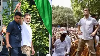 rahul-gandhi-climbs-atop-barricades-waves-tricolour-during-india-blocs-march-to-ec-office-video