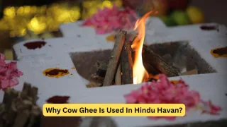 why-is-cow-ghee-essential-for-hindu-havan-spiritual-and-scientific-significance