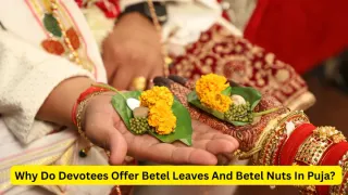 why-do-devotees-offer-betel-leaves-and-betel-nuts-in-puja-know-their-spiritual-significance