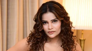 Archana Gautam's Mumbai Cafe Robbed? Bigg Boss 16 Fame Shares Shocking CCTV Footage